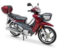 G-max ACTIVE 50